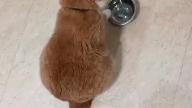 Nature & Animals🌴 - no talk me im angy