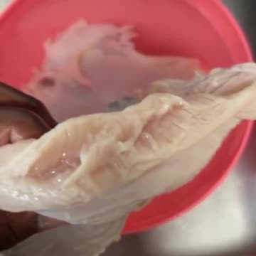 FAKE CHICKEN IS HITTING THE MARKET!