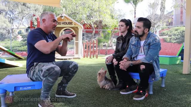 Cesar Millan On How To Get Dogs and Parrots to Get Along (PT1) | Marlene Mc'Cohen