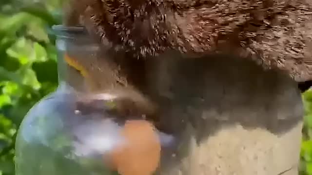 Naughty little fellow