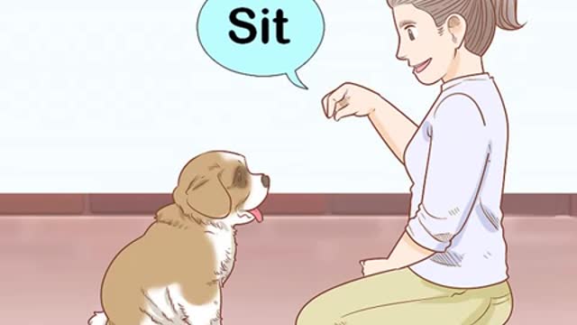 Training puppy with easy steps