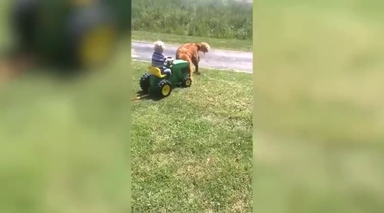 babies shares friendship with their best friend