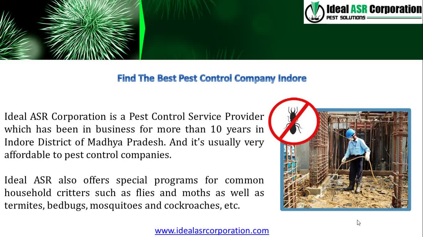 5 Expert Tips for Fly Control at Your Home or Office -IdealASR