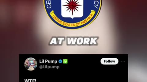 Quick Elon/45+ Recap