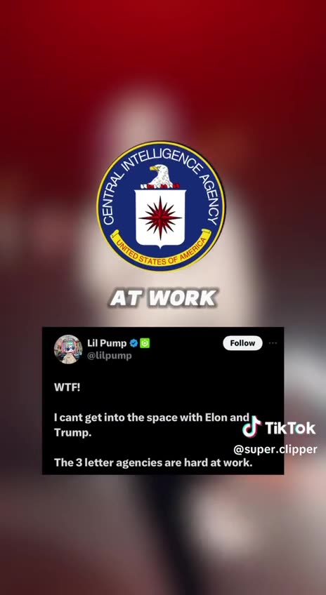 Quick Elon/45+ Recap