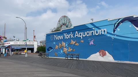 Walking Brooklyn: Riegelmann Boardwalk > New York Aquarium (Coney Island)