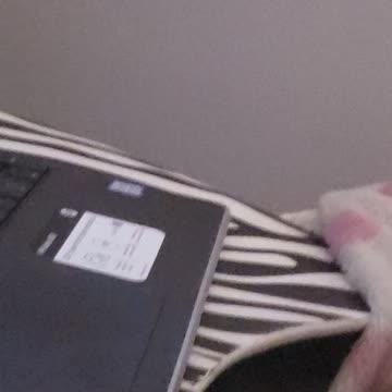 6 mo old baby laptops are not so bad