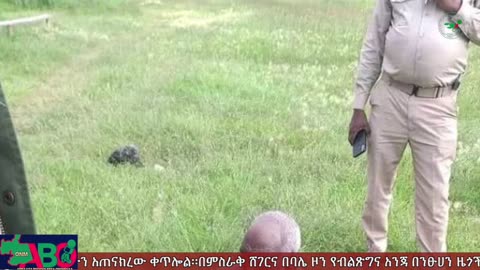 ጥቅምት 15፣ 2024 ONM-ABO እለታዊ የኦሮሞ ነፃነት ሰራዊትና የኦሮሚያ ውሎ!