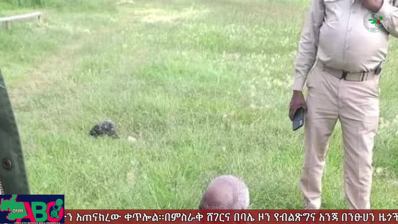 ጥቅምት 15፣ 2024 ONM-ABO እለታዊ የኦሮሞ ነፃነት ሰራዊትና የኦሮሚያ ውሎ!
