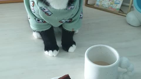 A lovely black cat and tea time.