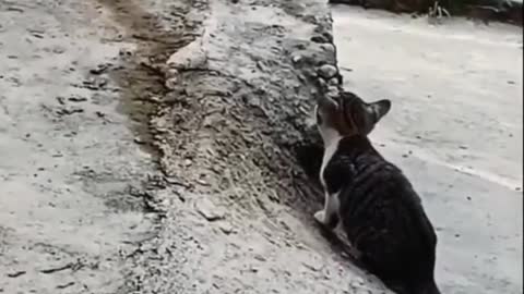 Watch till the end