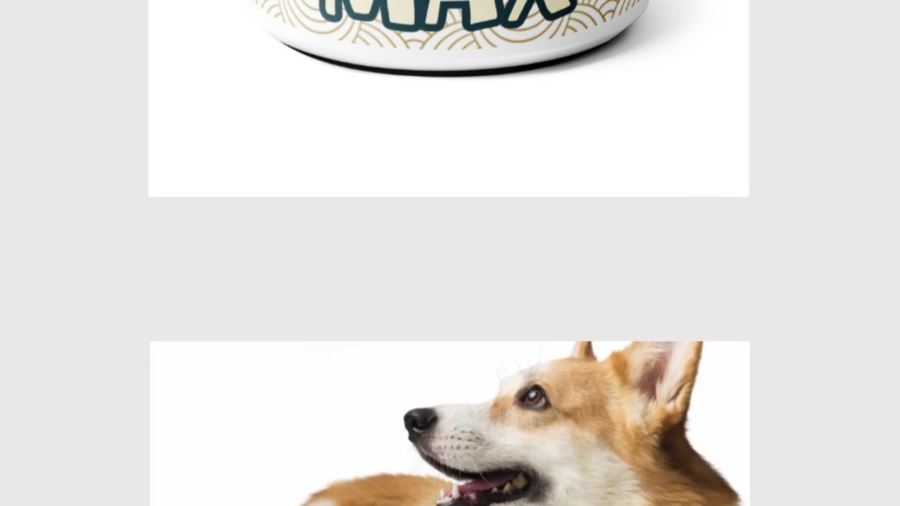 Personalized Pet Bowl for the Holidays