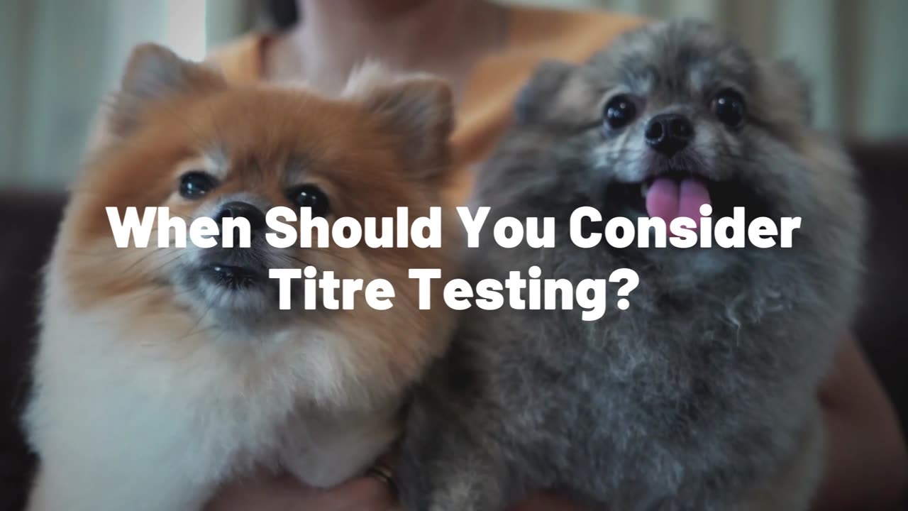 Titre Testing for Dogs: Protect Your Pup with Personalized Care
