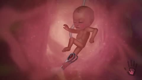 GRAPHIC - The REALITY Of Abortion 😪