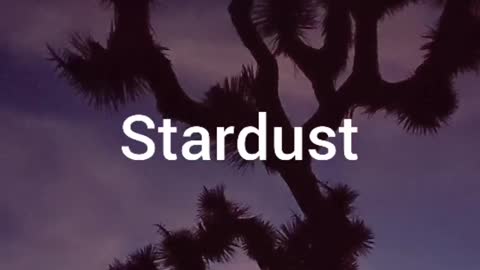 Just a lil bit of Stardust