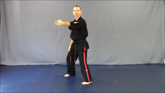 Basic Skillz Brown Belt - EXTRA CREDIT