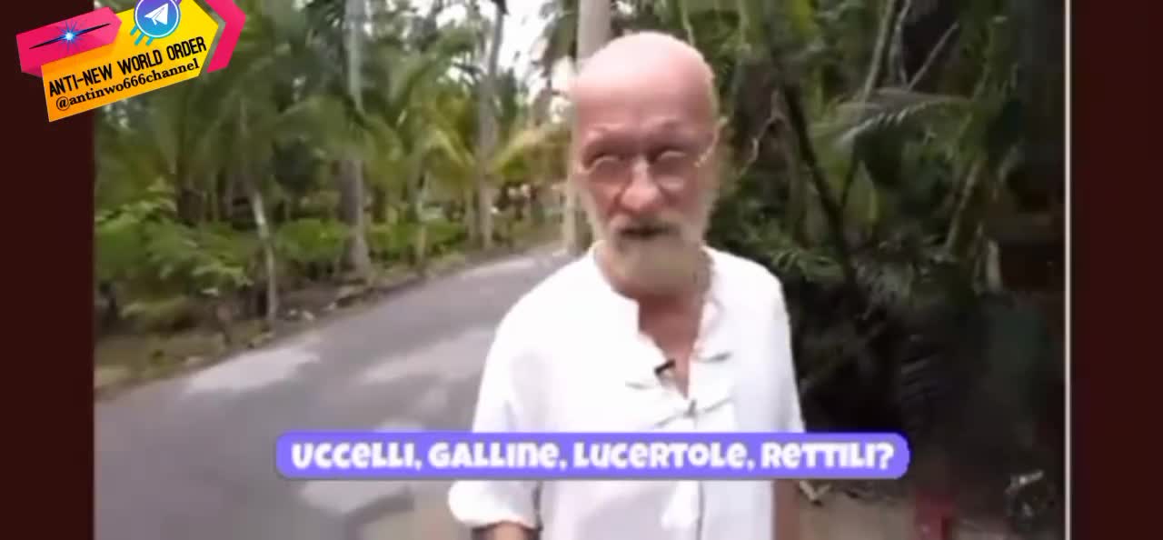 MANGIARE INSETTI FA MALE