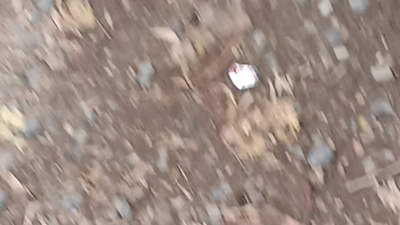 Beautiful balls