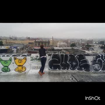 jordy - b-roll footage - Bushwick, Brooklyn, New York rooftop