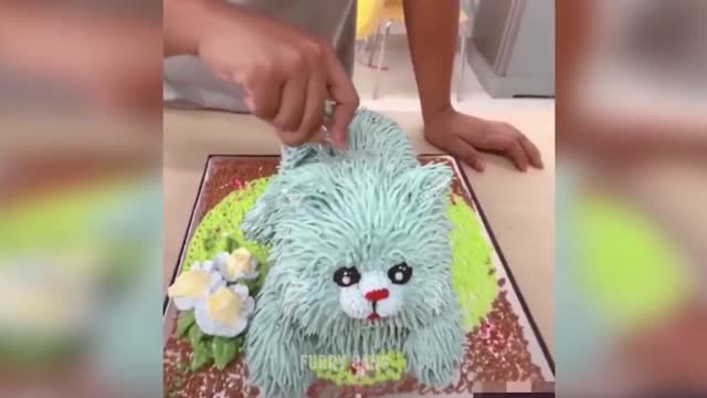 Dog Reaction to Cutting Cake 🤣 l Funny Dog Cake Reaction l Gang