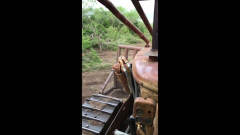 Cat D7 17A PLOWING THREW BRUSH