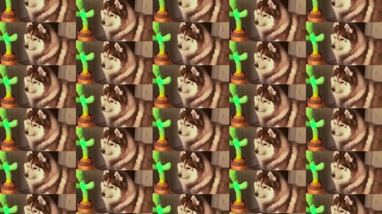doggo remix 3