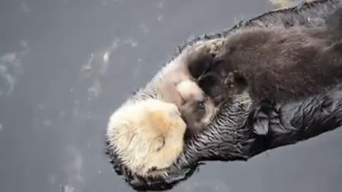 🤣🤣🤣❤❤❤