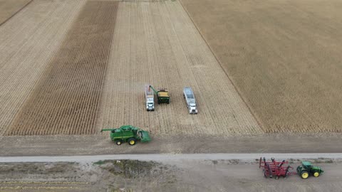 Grain Cart emptying into semi 1