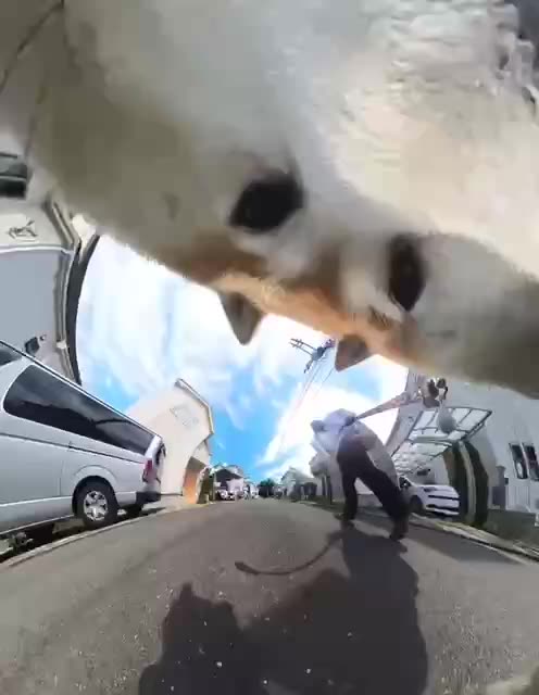 Love these 360 degree wide lens walks