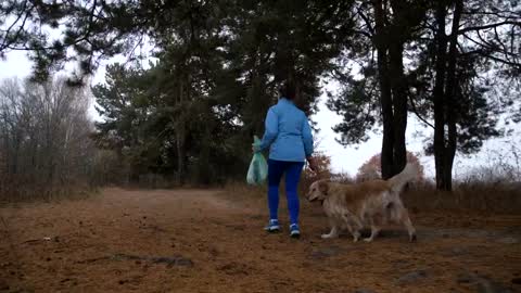 Woman and her dog cleaning woodland