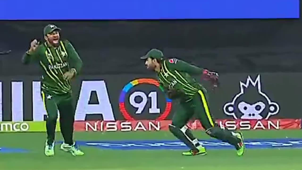 Haris Rauf 4 wickets