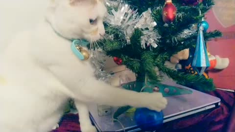 My cat wrecking the Christmas Tree