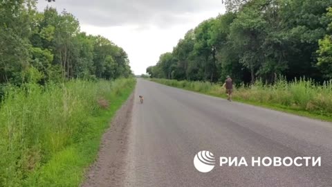 Novináři RIA Novosti zachránili vyčerpaného psa, který přišel o své majitele ve válečné zóně LLR