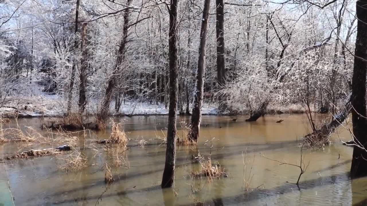 Snow at The Pond