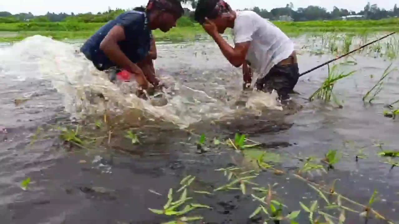 Traditional boys catching unbelievable big catfish by teta!really amazing fishing techniques😯