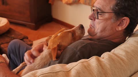 Man stroking his dog