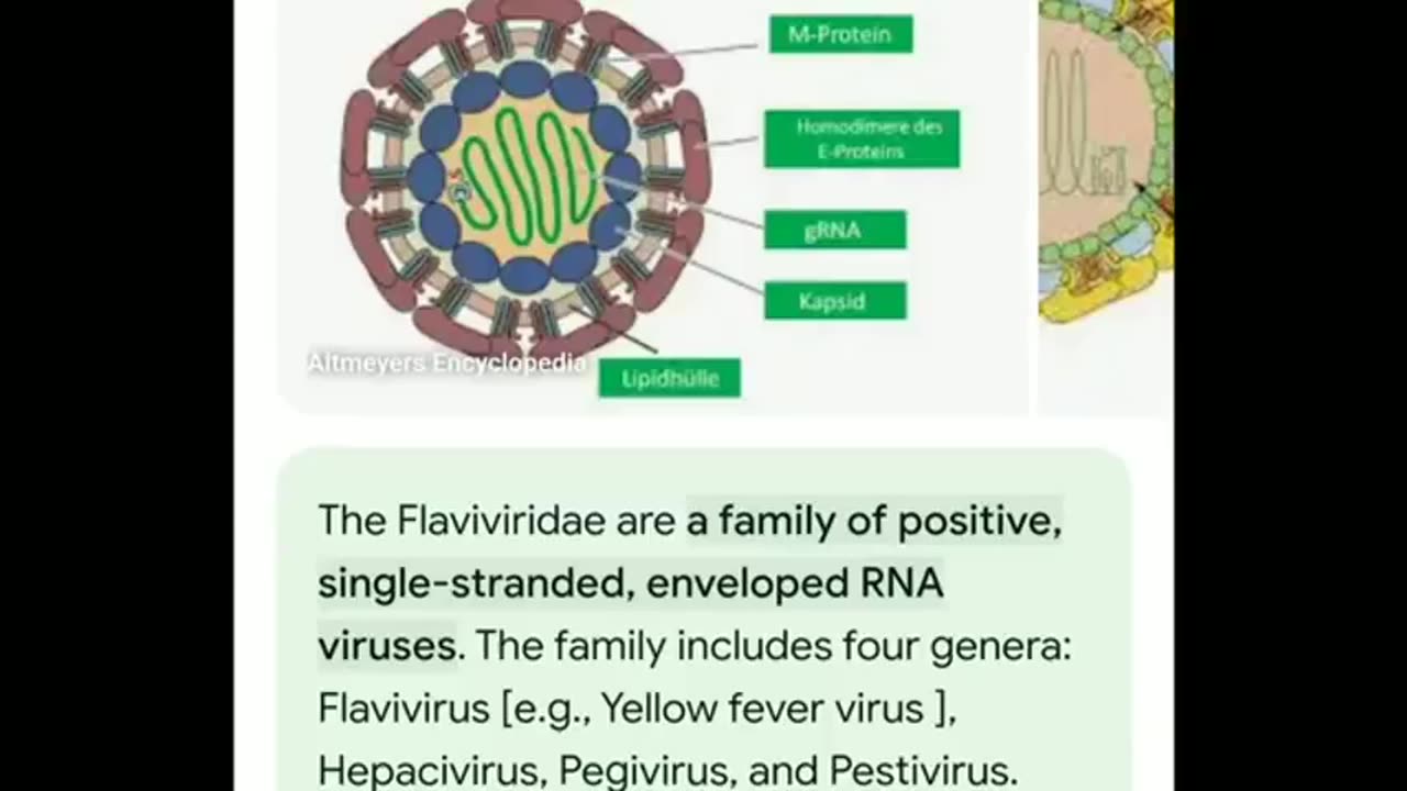 FEMA PLAN FOR OUTBREAK & QUARANTINE OF AMERICANS EXPOSED