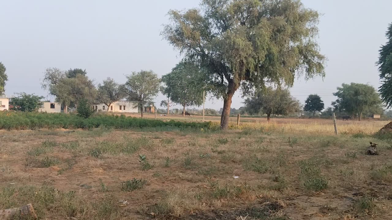 Village side vlog.