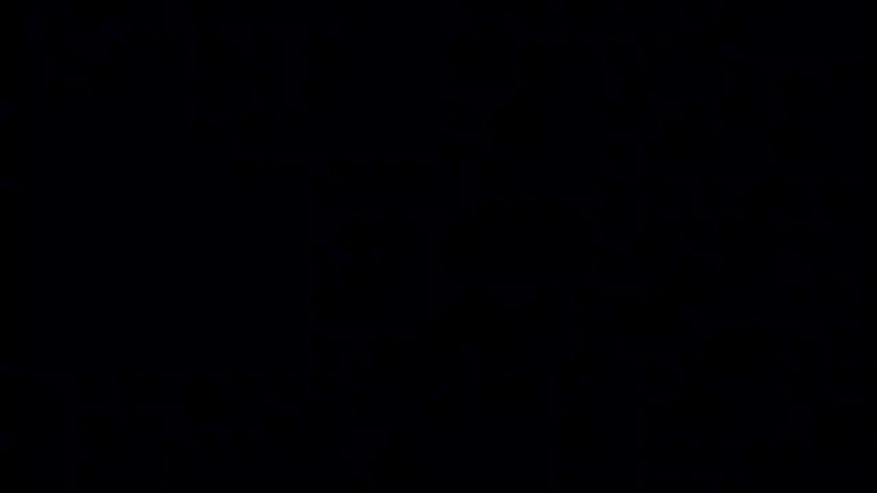 Cats video funny
