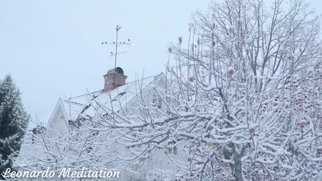 Village Relaxing Snowfall