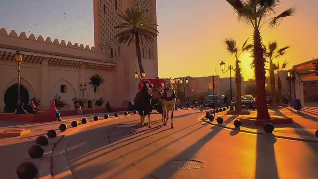 Golden hour in Marrakech > everything else. 🌅