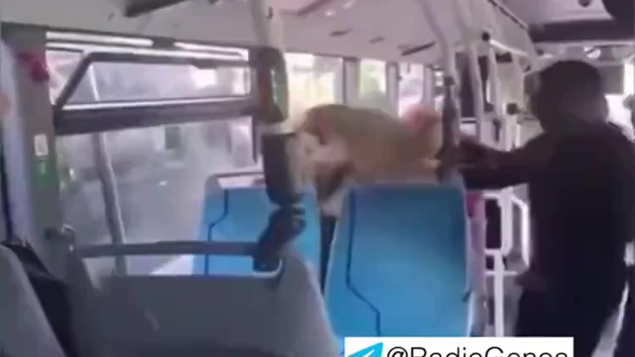 Illegal Alien Beating A Woman On A Bus In EU