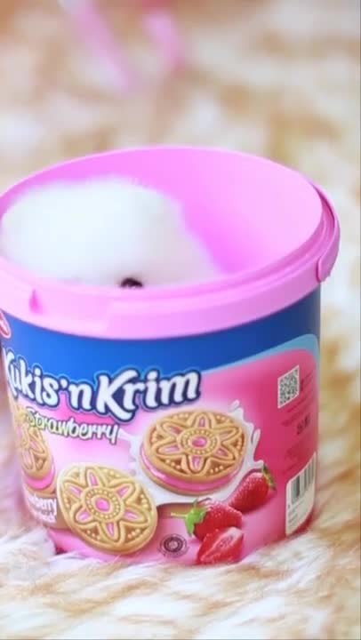 Baby Dogs 🐶 Cute and Funny Dog Videos Puppy Dogs Compilation