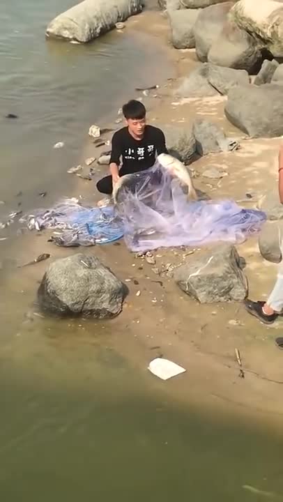 Amazing Asian Cast Net Fishing