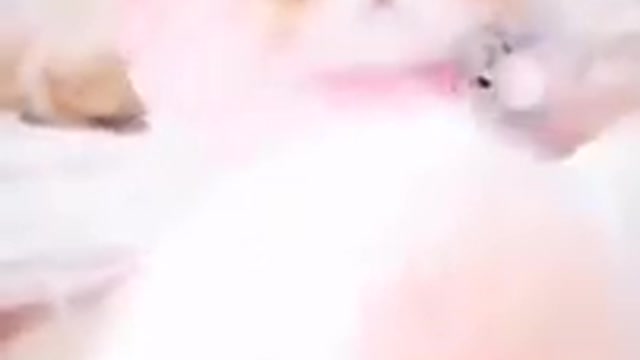 Best Of the Funny Animals Videos