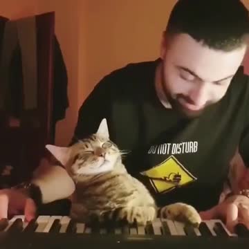 Anti-Loosh Video Number 46. LOOSH is real and bad. Explained below and watch the video!