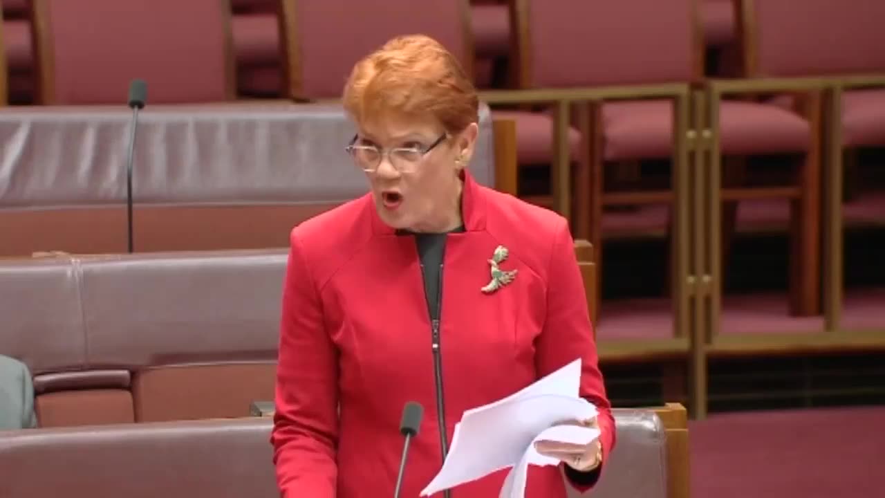 From Pauline Hansen: Today I Asked the Senate to Support my COVID-19 Vaccination Status