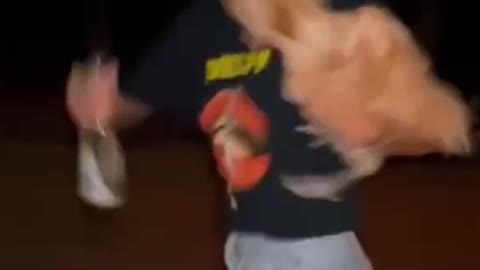 Run wild with the chickens