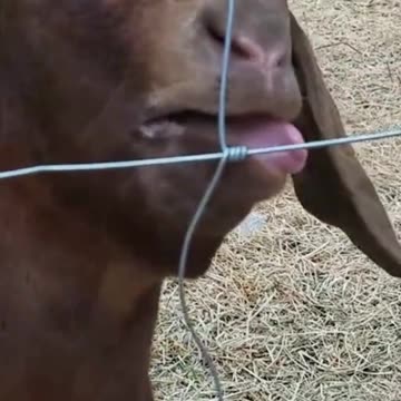 No no, he's got a point