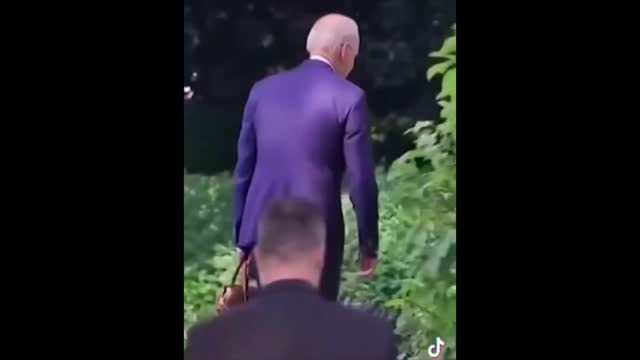 Try Not To Laugh!